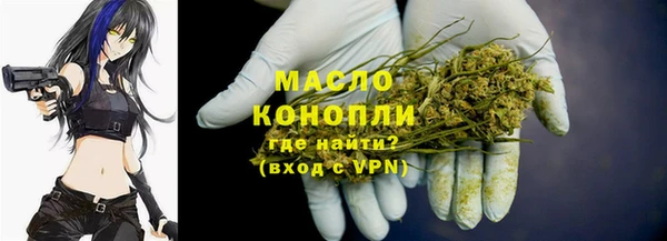 Альфа ПВП Пересвет