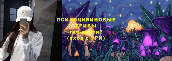 Альфа ПВП Пересвет