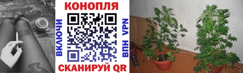 Конопля THC 21%  Купить закладки  Иваново 